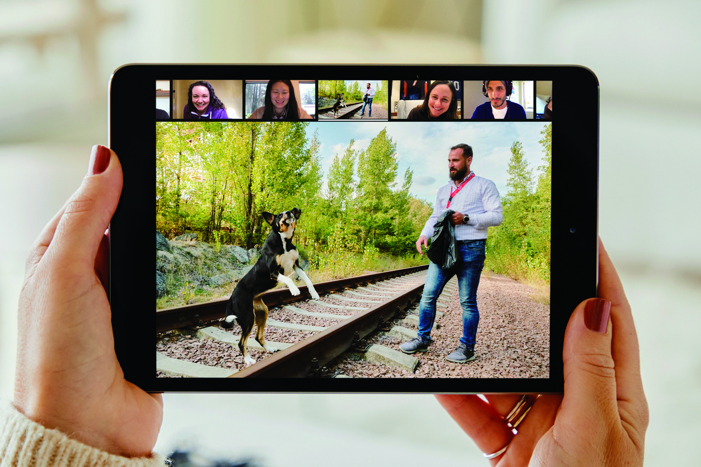 Airbnbが4月から始めた新サービス オンラインならではの体験 Engine エンジン クルマ 時計 ファッション 男のライフスタイルメディア